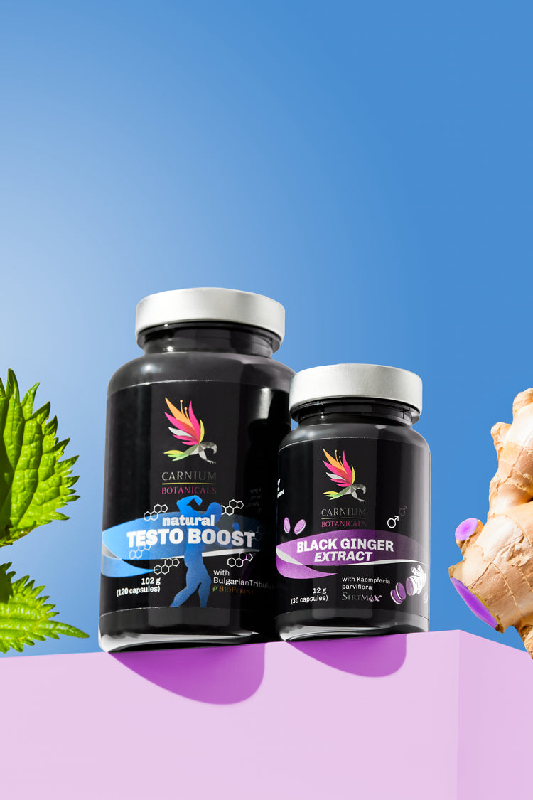 Pack Homme fort et résistant : Black Ginger + Natural Testo Boost -10 %