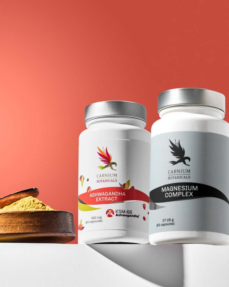 2x Ashwagandha Extract + 2x Magnesium Complex -20 %