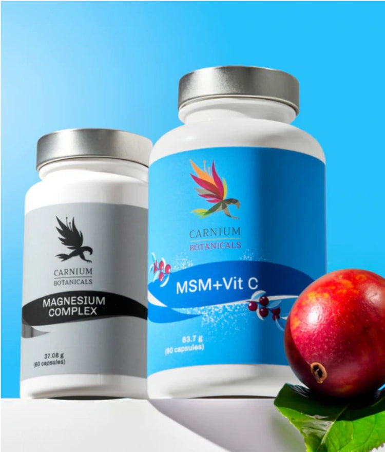 MSM + Magnesium Complex -25 %